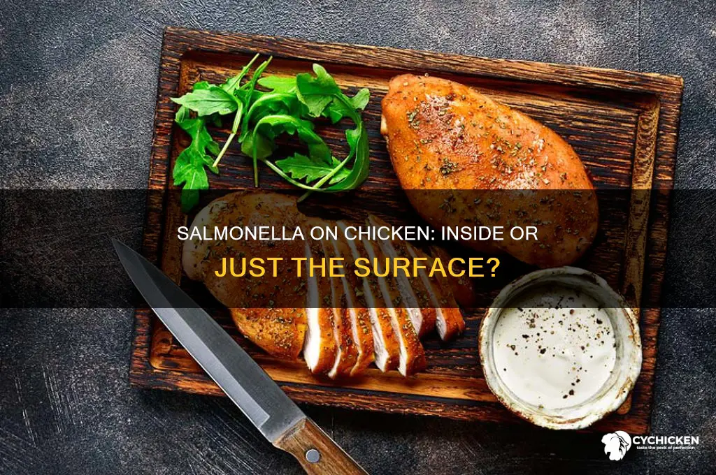 is salmonella only on the outside of chicken