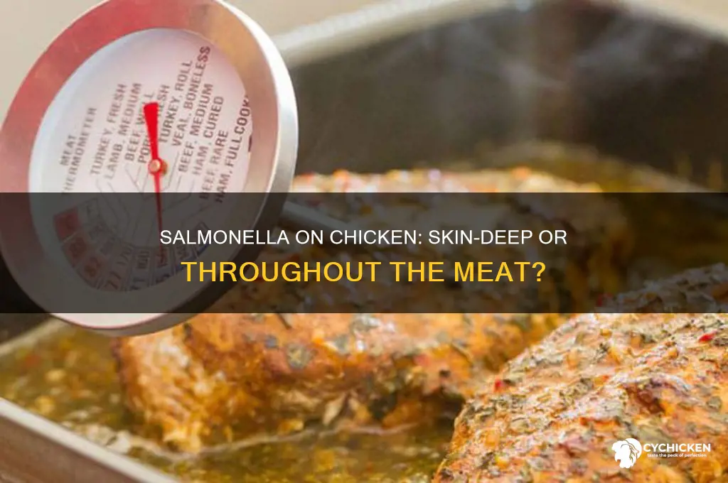 is salmonella only on the skin of chicken