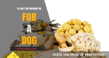 Is Salt on Chicken Safe for Dogs? Vet-Approved Advice