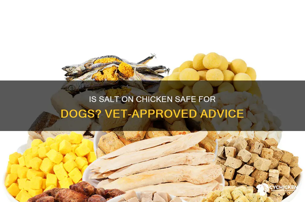 is salt on chicken ok for a dog
