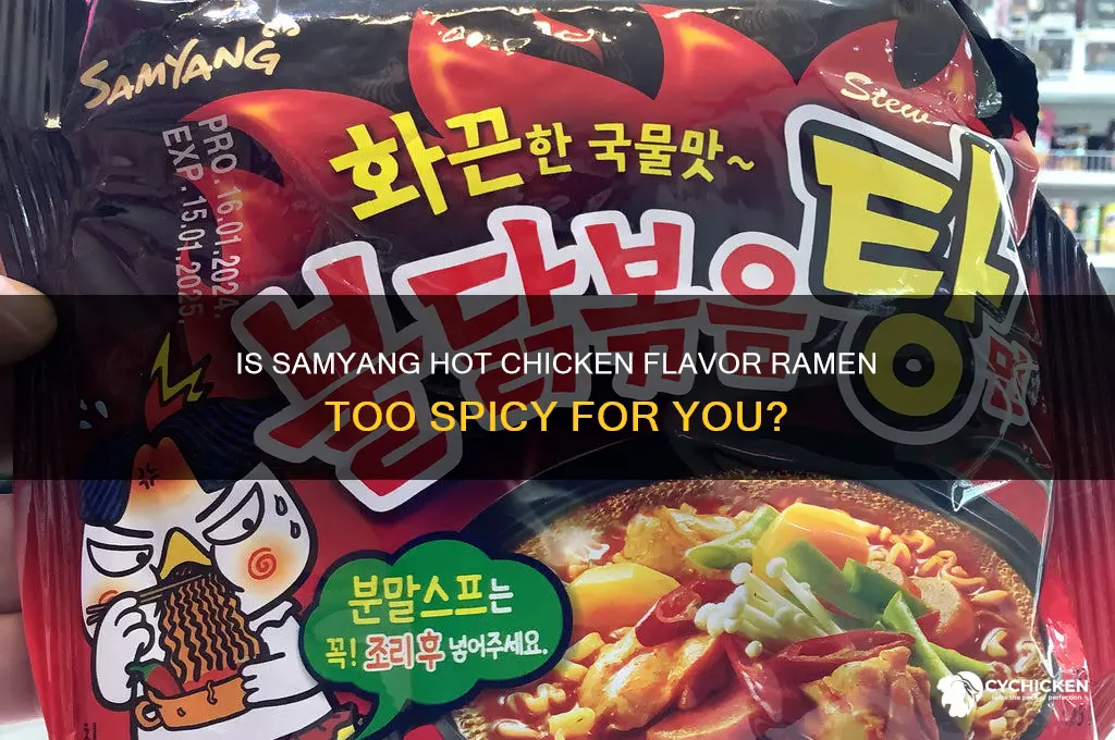is samyang hot chicken flavor ramen spicy