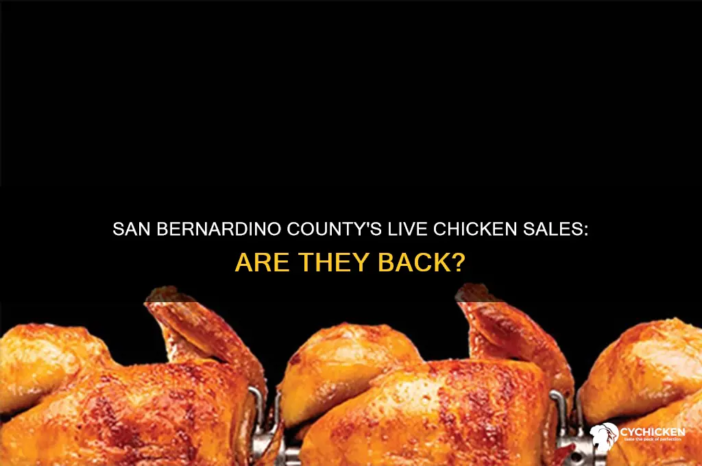 is sanbernadino county clear to buy live chicken again
