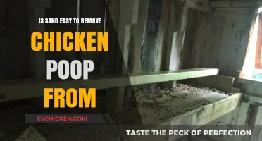 Can Sand Simplify Cleaning Chicken Poop? A Practical Guide