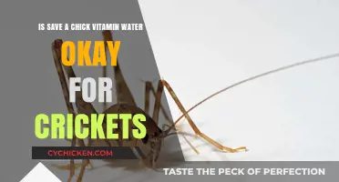 Vitamin Water: Safe for Crickets?