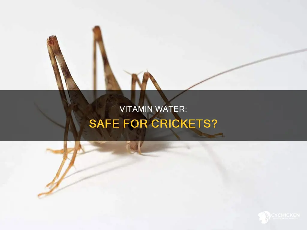 is save a chick vitamin water okay for crickets