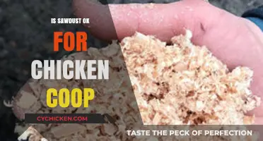 Sawdust in Chicken Coops: A Safe and Effective Bedding Option?