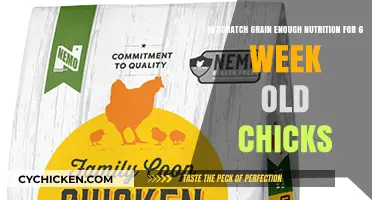 Grain Scratch: Optimal Nutrition for Chicks?