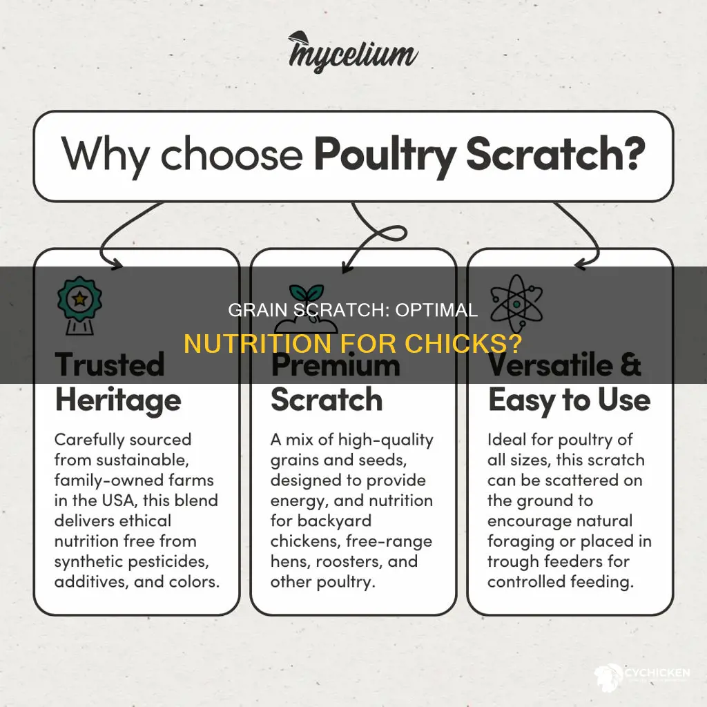 is scratch grain enough nutrition for 6 week old chicks