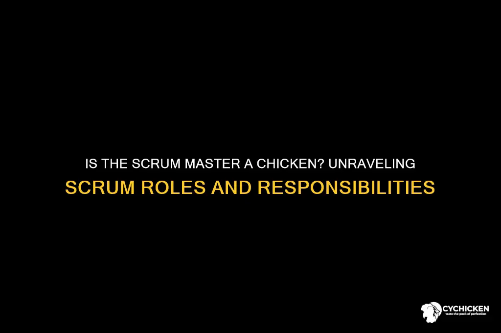 is scrum master chicken in scrum means