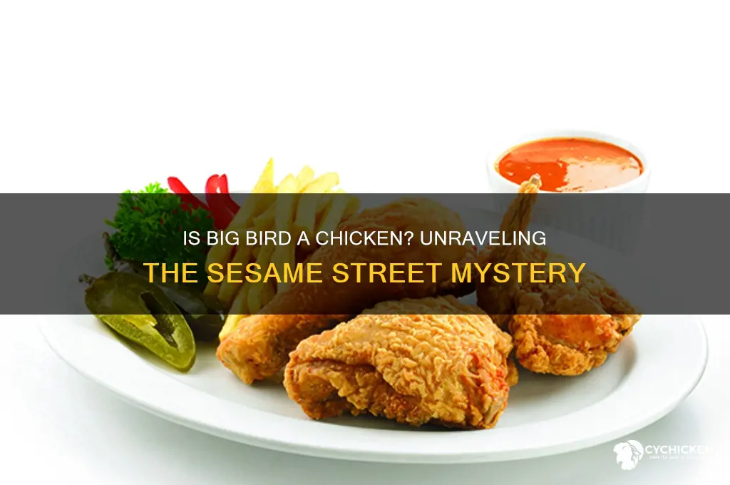 is seame street big beard a chicken