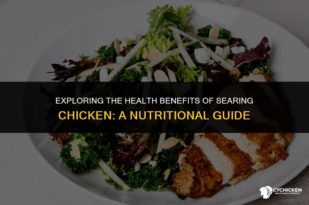is seared chicken healthy