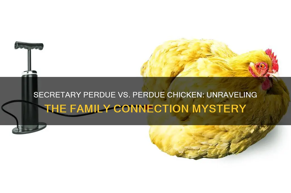 is secretary perdue any relation to perdue chicken