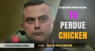 Is Senator David Perdue Connected to Perdue Chicken? The Truth