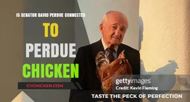 Senator David Perdue: Unraveling Ties to Perdue Chicken Empire