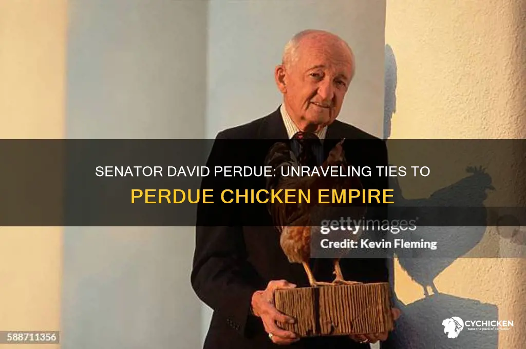 is senator david perdue connected to perdue chicken