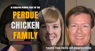 Perdue Chicken Family: Is Senator Perdue Part of It?