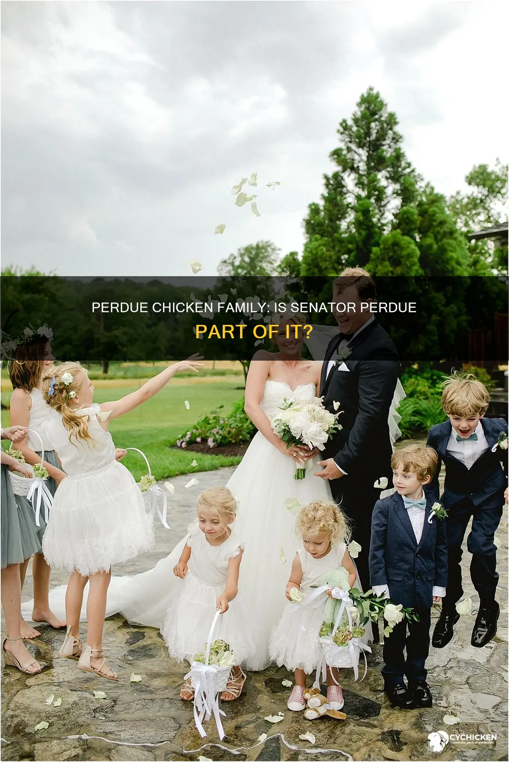 is senator perdue part of the perdue chicken family