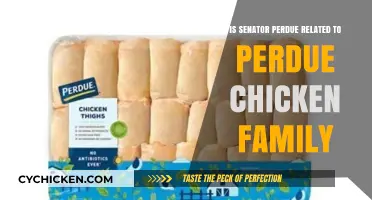 Senator Perdue and Perdue Chicken: Family Ties or Coincidence?