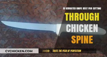 Best Knife for Cutting Chicken Spine: Serrated or Not?