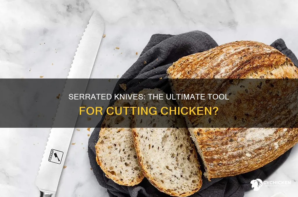 is serrated knife best for cutting through chicken