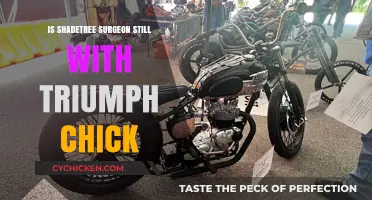 Shadetree Surgeon's Current Status with Triumph Chick: What We Know