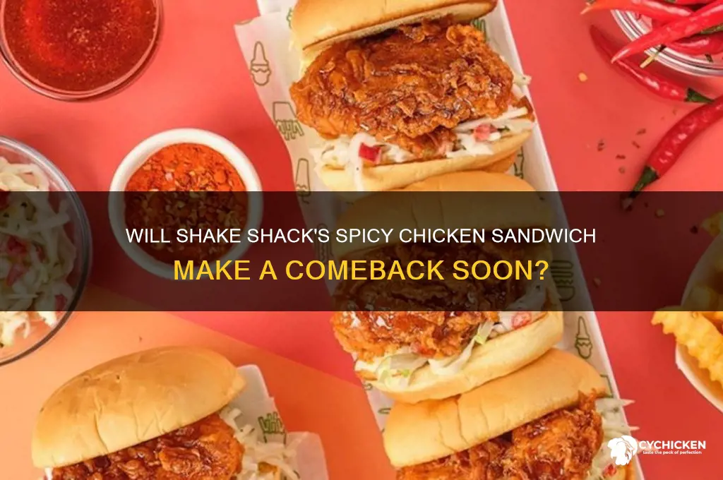 is shake shack ever bringing spicy chicken sandwich back