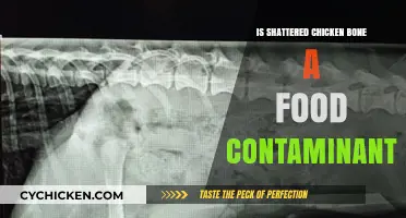 Shattered Chicken Bone: Food Contaminant or Harmless Mishap?
