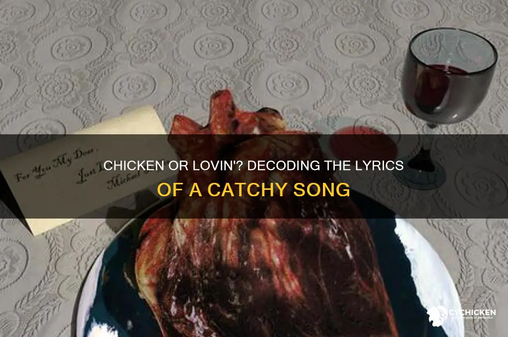 is she talking about chicken or lovin song
