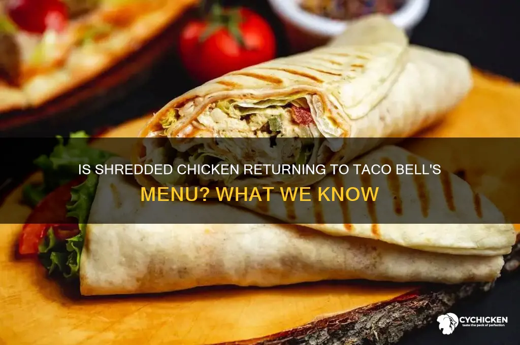 is shredded chicken back at taco bell