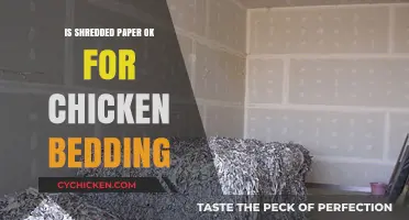 Shredded Paper for Chicken Bedding: Safe, Eco-Friendly, or Risky Choice?