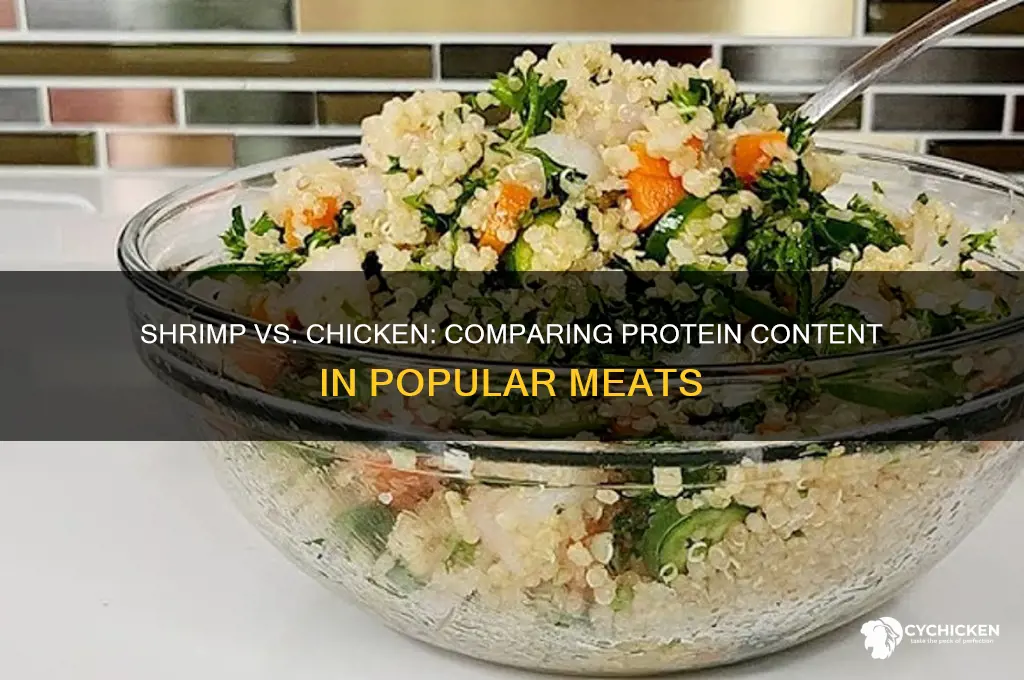 is shrimp and chicken have the same protein