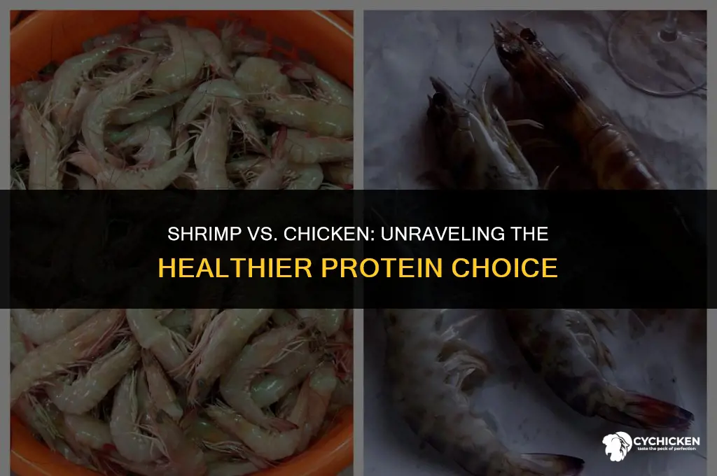 is shrimp healthier than chicken nytimes