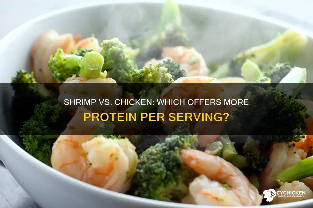 is shrimp high in protein than chicken