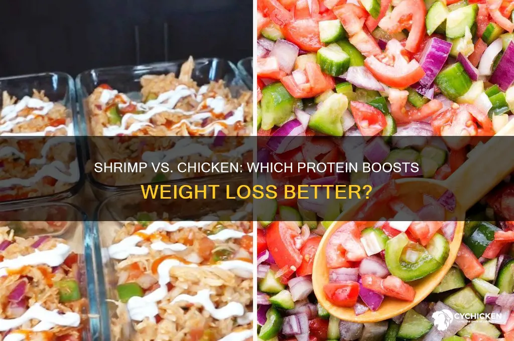 is shrimp or chicken better for weight loss