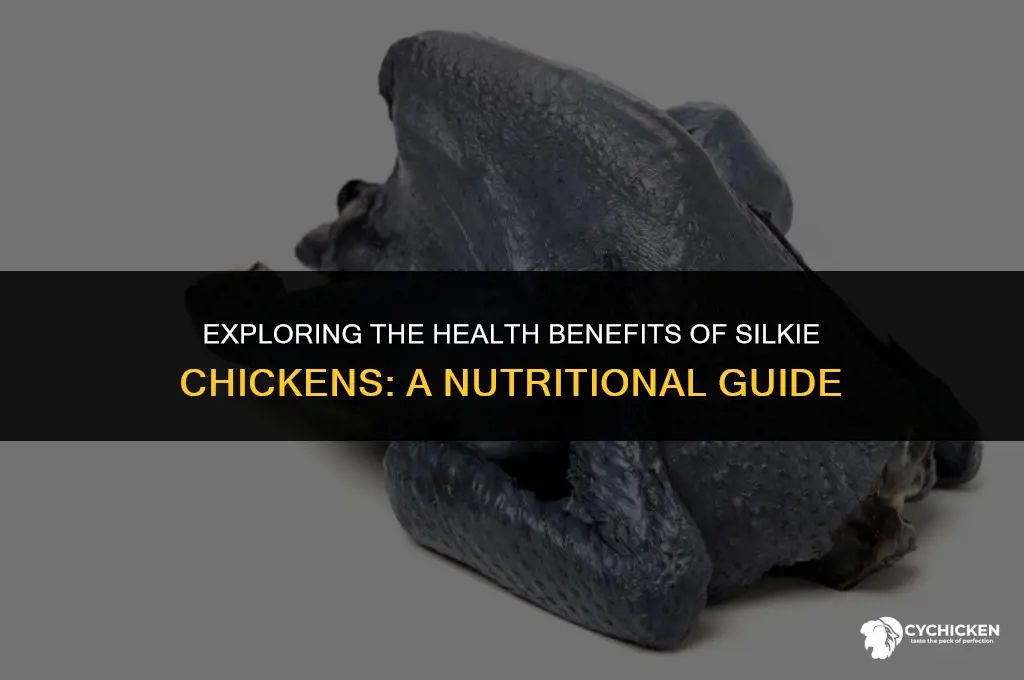is silkie chicken healthy
