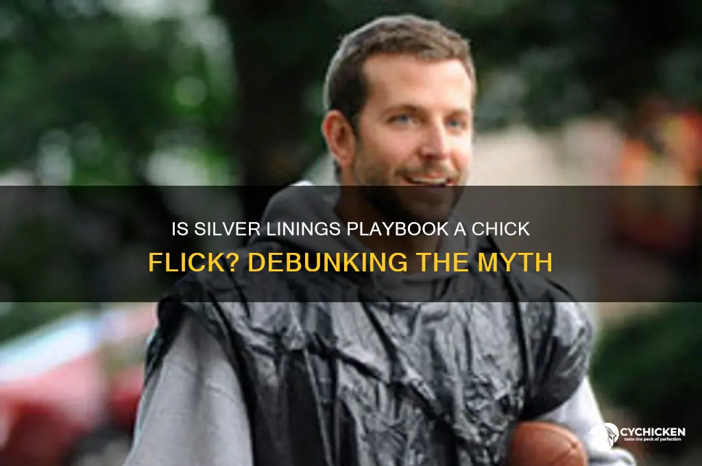 is silver linings playbook a chick flick