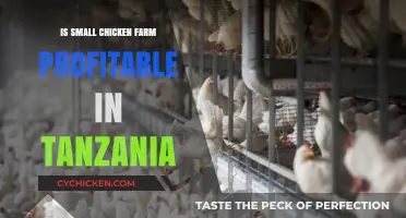 Small-Scale Chicken Farming Profitability in Tanzania: Opportunities and Challenges