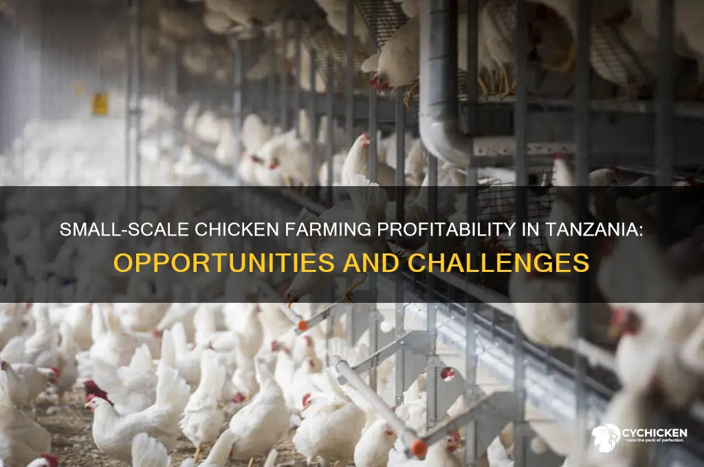 is small chicken farm profitable in tanzania