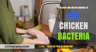 Killing Chicken Bacteria: Soap and Water's Power