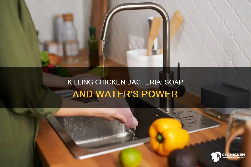 is soap and water enough to kill chicken bacteria