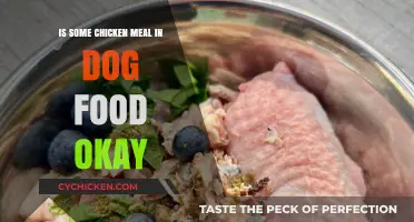 Is Chicken Meal in Dog Food Safe for Your Pet?