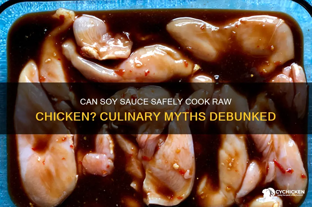 is soy sauce able to cook raw chicken