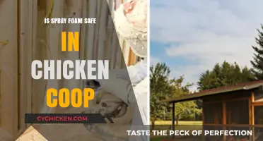 Ensuring Safety: Spray Foam Insulation in Chicken Coops Explained