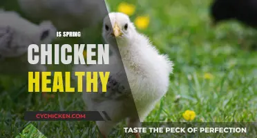 Exploring the Health Benefits of Spring Chicken: A Nutritional Guide