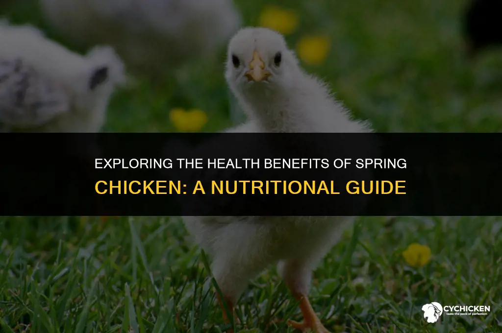 is spring chicken healthy