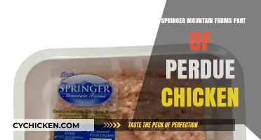 Is Springer Mountain Farms Owned by Perdue Chicken? Unraveling the Connection