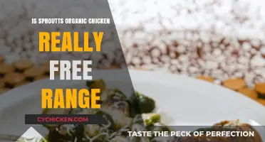 Is Sproutts Organic Chicken Truly Free Range? Uncovering the Facts