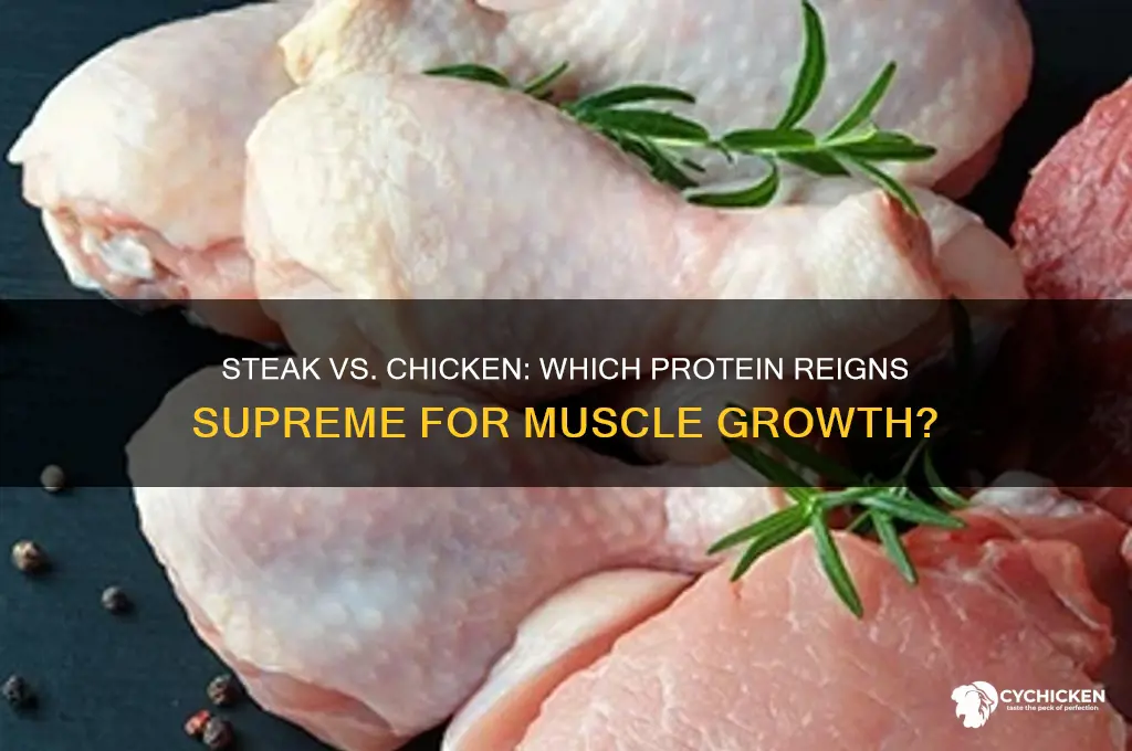 is steak better than chicken for building muscle