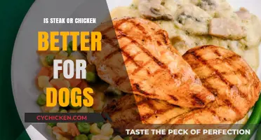 Steak vs. Chicken: Which Protein is Best for Your Dog?