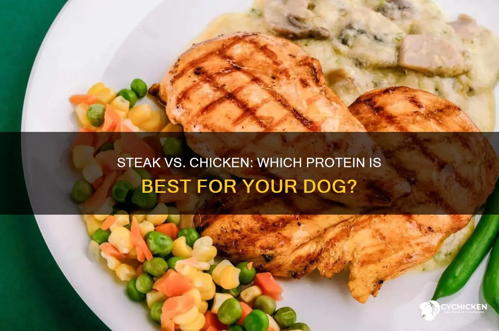 is steak or chicken better for dogs